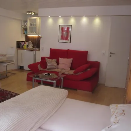 Im Zentrum Am Hebelhof 1zi. Apartment